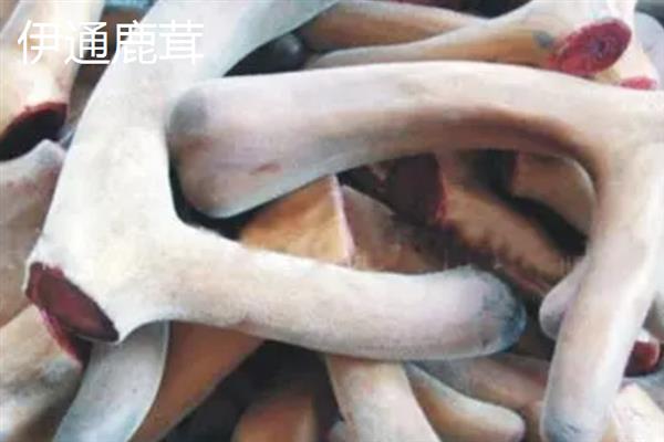 吉林省和龙市的特产，和龙大米畅销全国