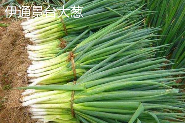 吉林省和龙市的特产，和龙大米畅销全国