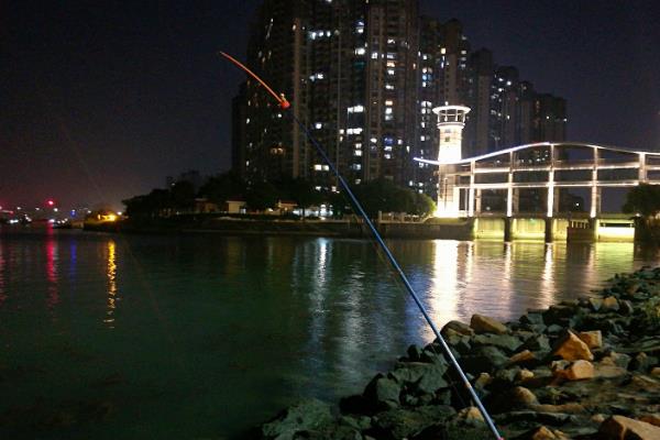 6月钓鲤鱼好不好钓，从大部分情况来看比较好钓