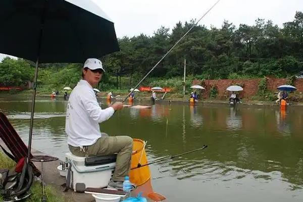 6月钓鲤鱼好不好钓，从大部分情况来看比较好钓