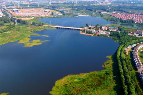 山东的花生主产区，主产于临沂、青岛等地方