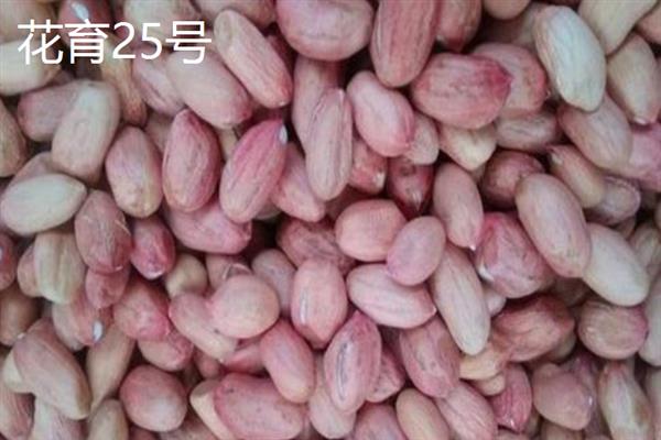 山东的花生主产区，主产于临沂、青岛等地方