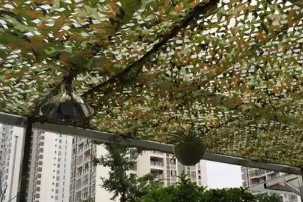 百香果的种植方法，用温水浸种24小时再播种