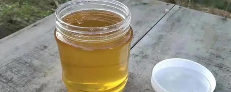 鸭脚木蜂蜜介绍，由蜜蜂采集鸭脚木花蜜酿制而成