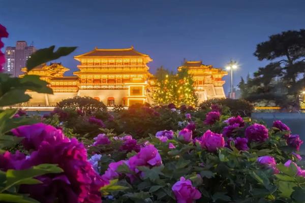 洛阳牡丹节的时间，一般在4月5日-5月5日举办