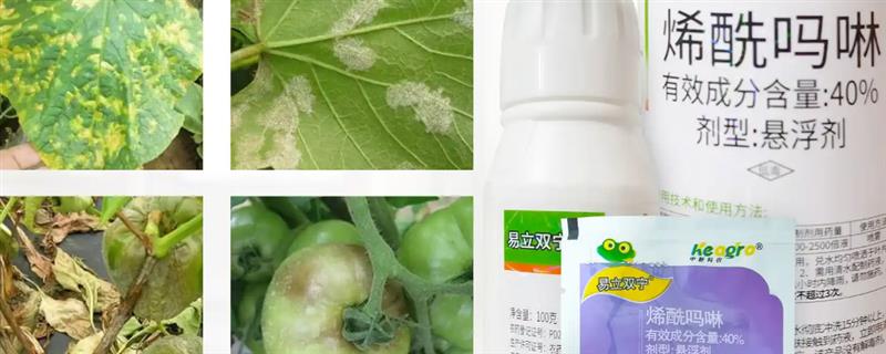 烯酰吗啉的使用方法，不宜在整个季节单一使用多次