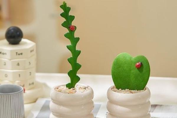 仙人掌适合在室内养殖吗，适合在室内养殖