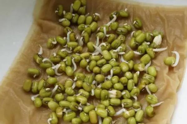 绿色的豆芽是什么，叫绿豆芽