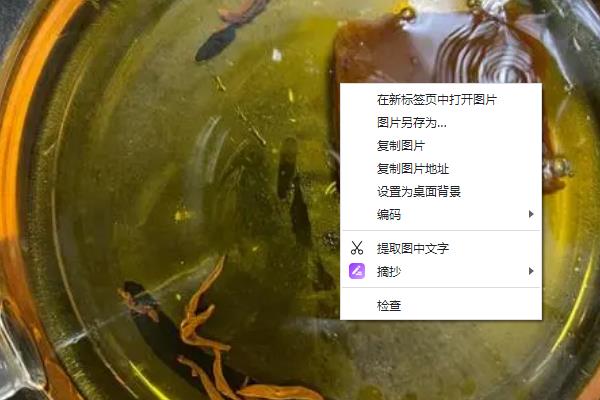 怎么养红茶菌，需要先培养母液
