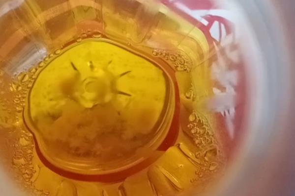 怎么养红茶菌，需要先培养母液