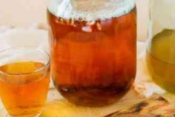 怎么养红茶菌，需要先培养母液