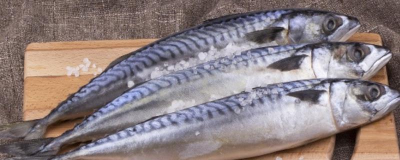 马鲛鱼如何腌制风干，用食盐和其它材料拌匀、经过冷藏再晾晒
