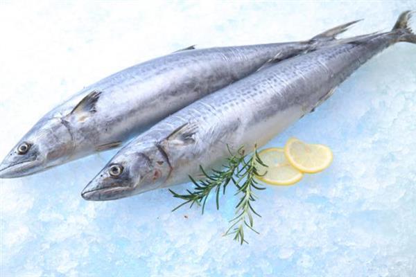 马鲛鱼如何腌制风干，用食盐和其它材料拌匀、经过冷藏再晾晒