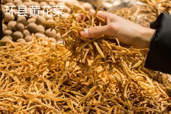 甘肃省庆阳的特产，有九龙金枣、庆阳香瓜等