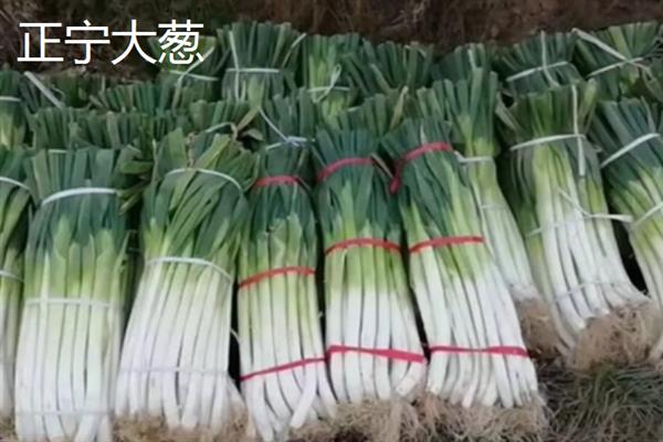 甘肃省庆阳的特产，有九龙金枣、庆阳香瓜等