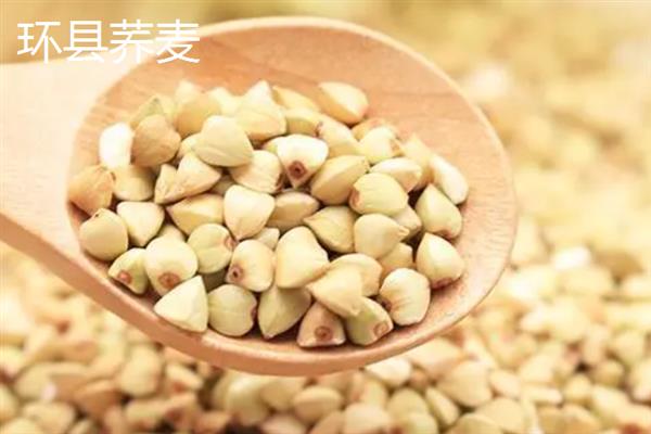 甘肃省庆阳的特产，有九龙金枣、庆阳香瓜等