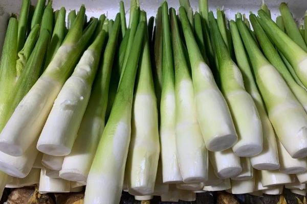 茭白何时上市，单季茭白通常在9-10月份上市