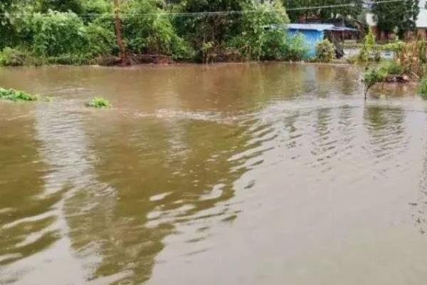 暴雨洪灾后的池塘如何处理，首先要修复池塘破损的地方
