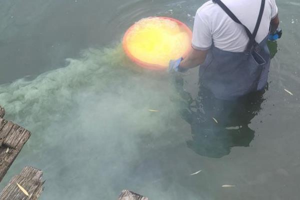 暴雨洪灾后的池塘如何处理，首先要修复池塘破损的地方
