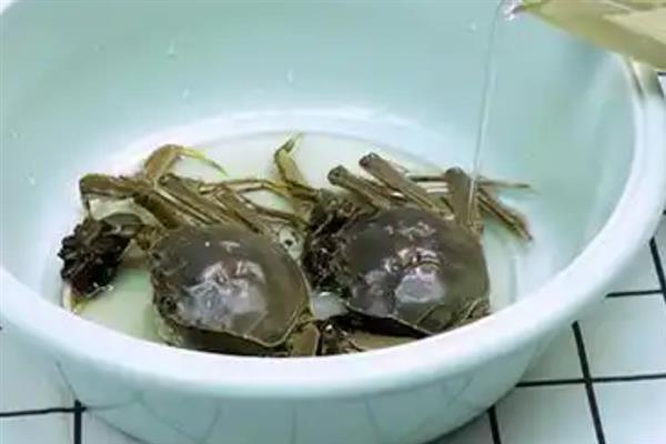 五河镇大闸蟹为什么出名，当地水量丰富且生态环境优良