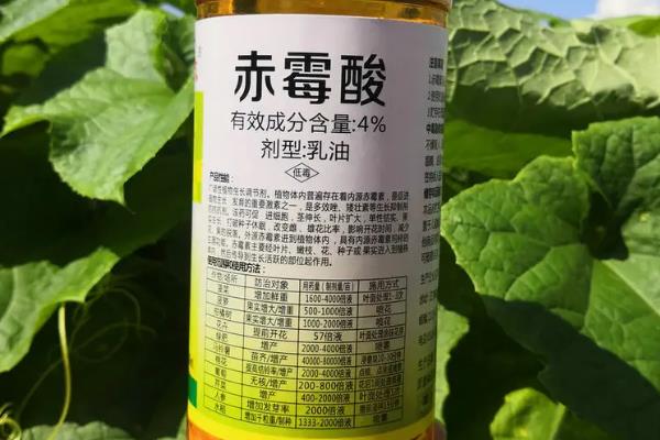 用哪种杀菌剂对大蒜浸种，多菌灵、吡虫啉、咯菌腈均可使用