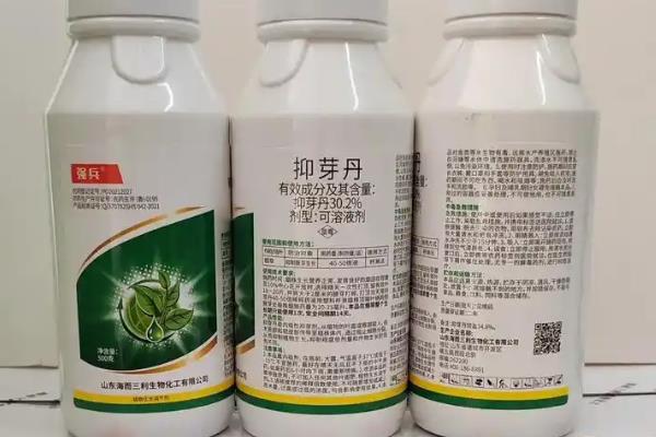 用哪种杀菌剂对大蒜浸种，多菌灵、吡虫啉、咯菌腈均可使用