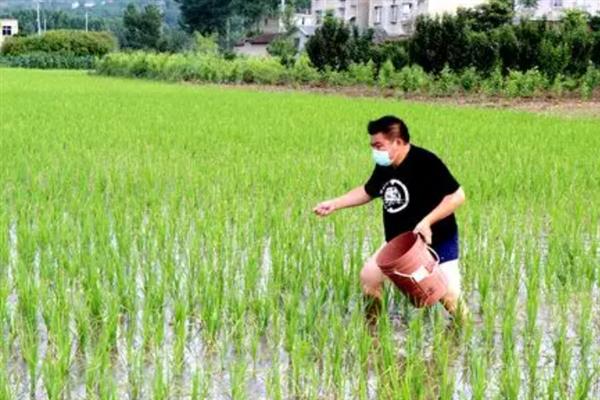 复合肥的定义，指的是2种或2种以上营养元素的肥料