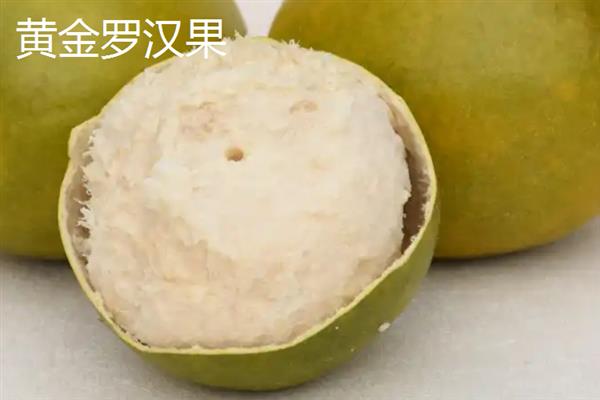 黄金罗汉果和普通罗汉果的区别，外观、内肉和口感均不同