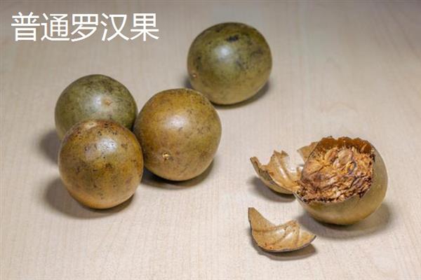 黄金罗汉果和普通罗汉果的区别，外观、内肉和口感均不同