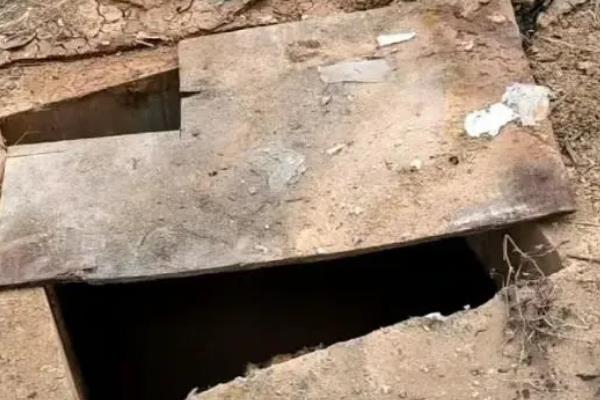 养蛆要不要办理手续，不用手续也能养殖
