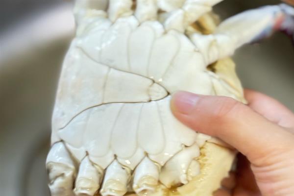 梭子蟹的保存方法，可使用冰箱、浴缸、塑料盆等容器