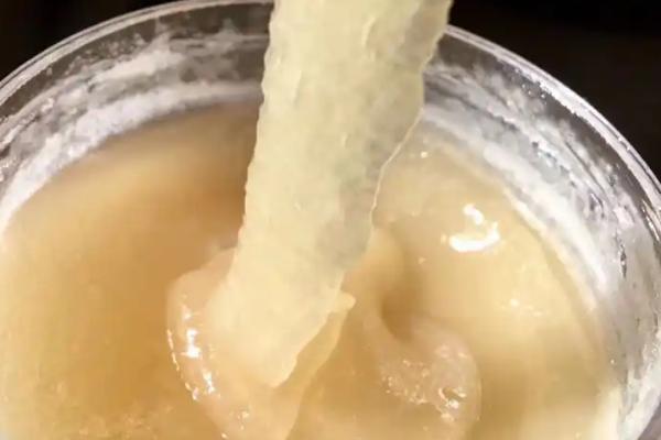 鸭脚木蜂蜜介绍，由蜜蜂采集鸭脚木花蜜酿制而成