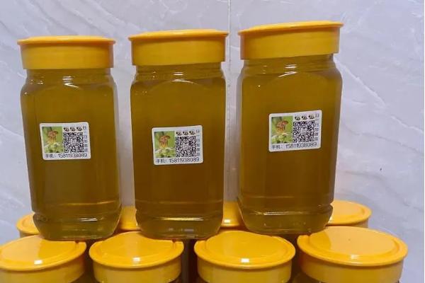 鸭脚木蜂蜜介绍，由蜜蜂采集鸭脚木花蜜酿制而成