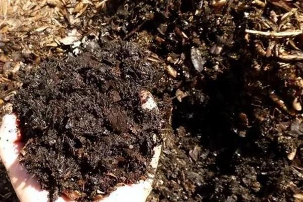 羊粪有机肥的发酵方法，与其它原料混合后再建堆
