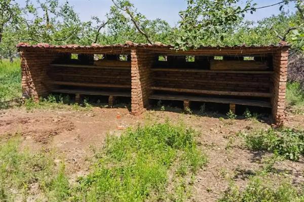 农村怎么搭养鸡简易棚，一般搭建在避风向阳处