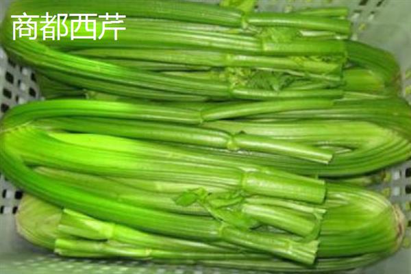 乌兰察布市的特产，卓资熏鸡已被列入非物质文化遗产名录