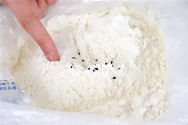面粉生虫了能不能吃，情况不严重时经过处理后依然可继续食用