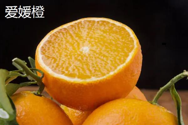 有哪些名贵的水果，指橙、醋栗、神秘果等品种价格昂贵