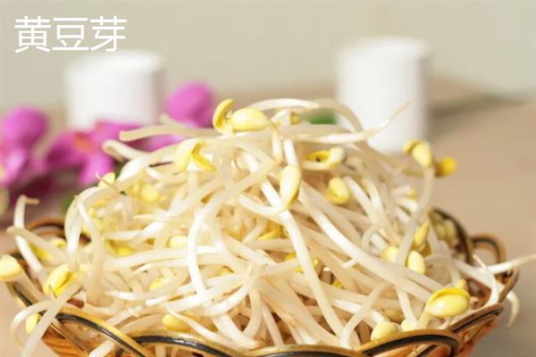 黄豆芽与黄豆苗的区别，外观和生长方式均不同