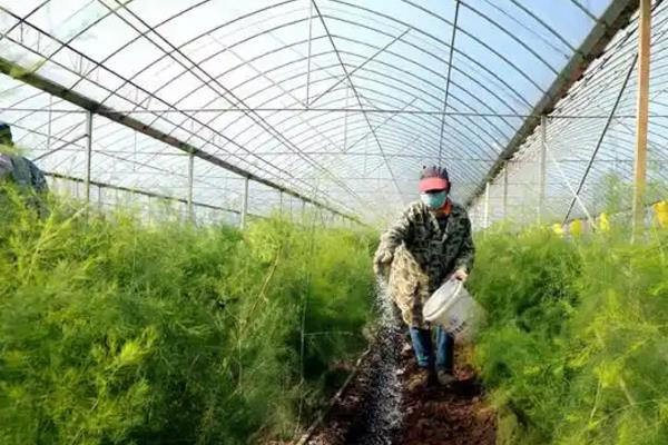 如何提高农作物的产量，以下4种措施可以采用