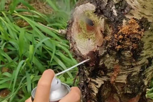 如何提高农作物的产量，以下4种措施可以采用