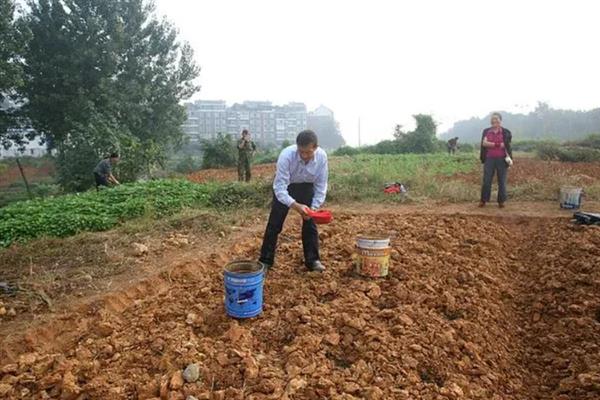 让土壤变得肥沃疏松的方法，深翻土地会更加松软透气