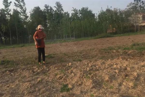 让土壤变得肥沃疏松的方法，深翻土地会更加松软透气