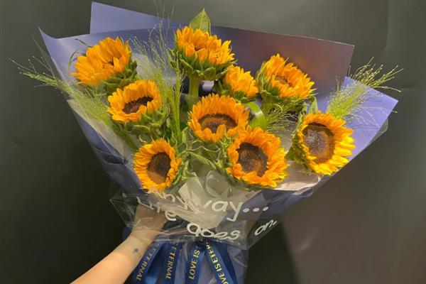 向日葵的花语是什么，代表沉默的感情、没能说出来的爱