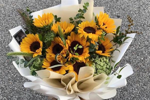 向日葵的花语是什么，代表沉默的感情、没能说出来的爱