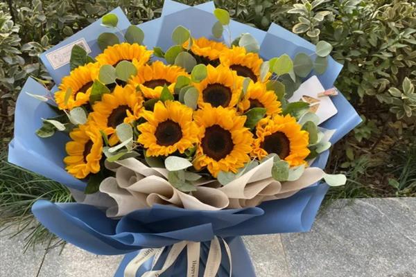 向日葵的花语是什么，代表沉默的感情、没能说出来的爱