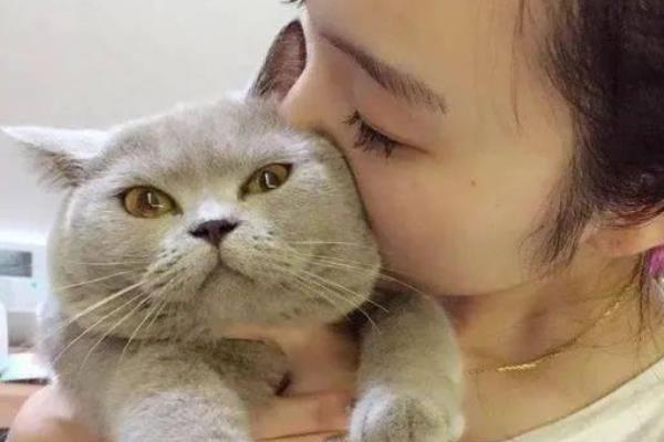 猫咪没精神如何解决，平时要多陪伴并与它玩耍