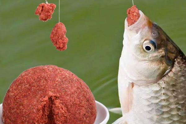水库钓鲤鱼的饵料配方，常用的就是玉米粒