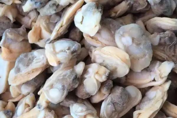 鲶鱼怎么养殖，同一养殖池要投放规格相同的鱼苗