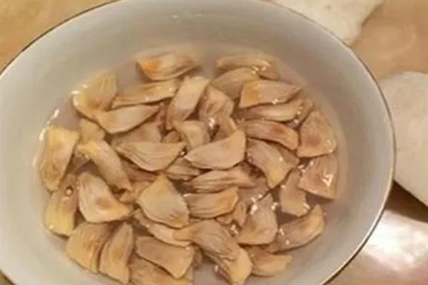 柚子的籽能不能种出来，浸种后再播种可提高发芽率